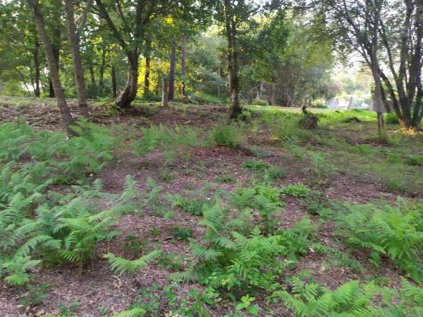 Terreno en Meder s/n