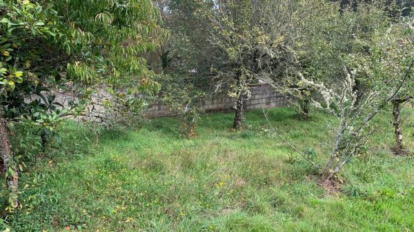 Terreno en Portovilan, 54