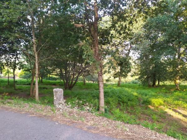 Terreno en Meder s/n