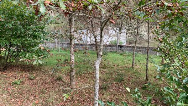 Terreno en Portovilan, 54