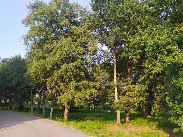 Terreno en Meder s/n