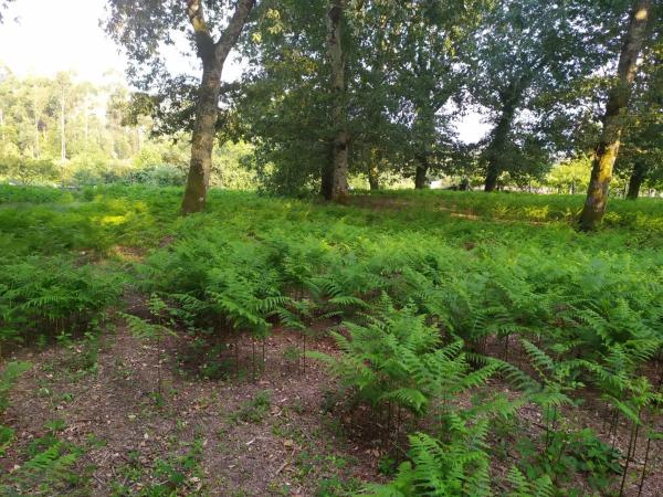 Terreno en Meder s/n