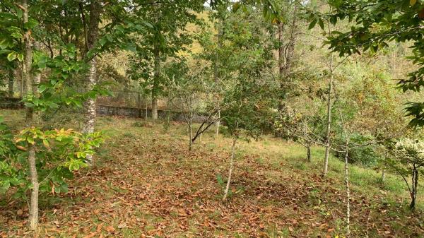 Terreno en Portovilan, 54