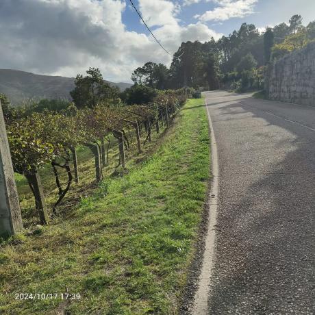 Terreno en Lugar Torre, 4