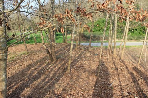 Terreno en Lugar Barrio Cazan, 30