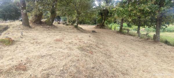 Terreno en Loureiros-Os Peixuntos