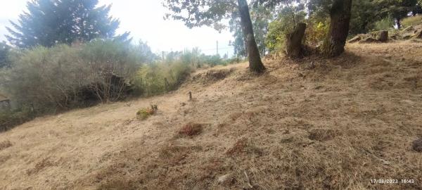 Terreno en Loureiros-Os Peixuntos