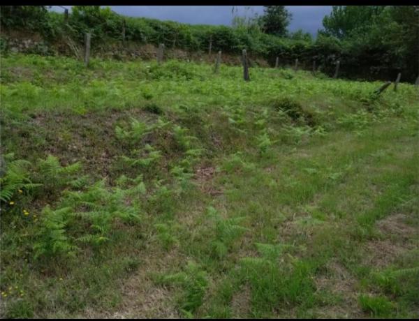 Terreno en o Seixo, 2