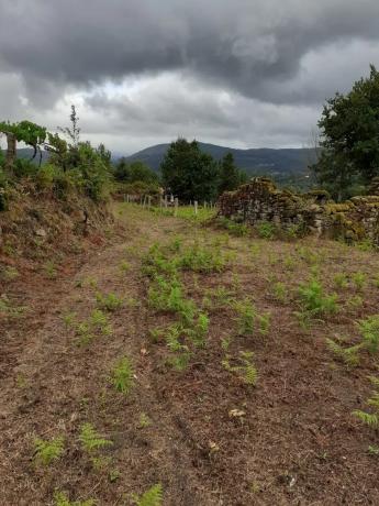 Terreno en o Seixo, 2
