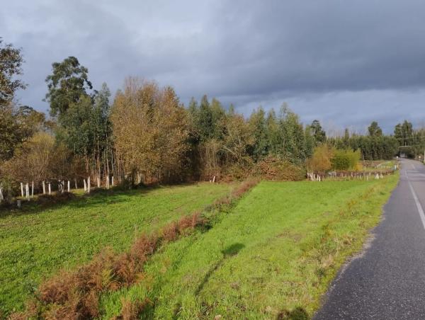 Terreno en Lugar Aldea, 5