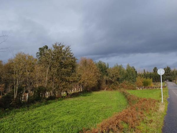 Terreno en Lugar Aldea, 5