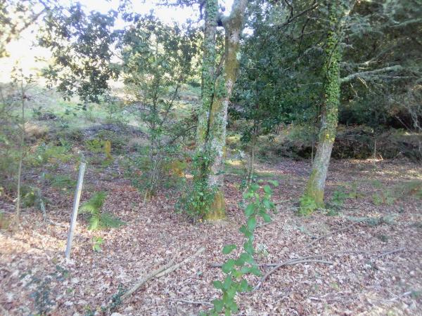 Terreno en Portela, km 1