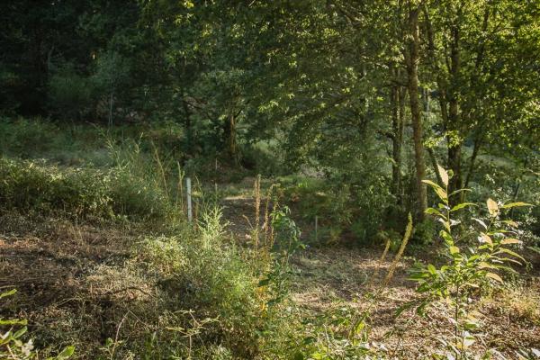 Terreno en Portela, km 1