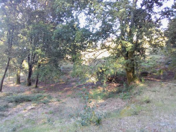 Terreno en Portela, km 1