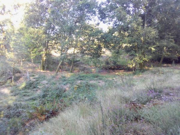 Terreno en Portela, km 1