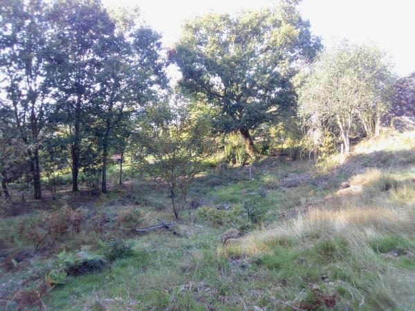 Terreno en Portela, km 1