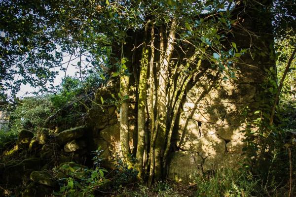 Terreno en Portela, km 1