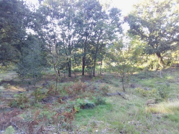 Terreno en Portela, km 1