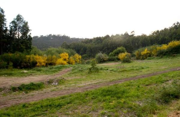 Terreno en calle García Neira