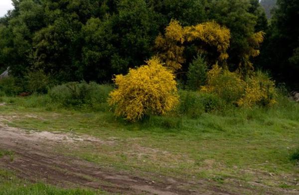 Terreno en calle García Neira