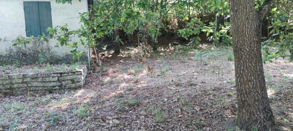 Terreno en Lamas da Fonte