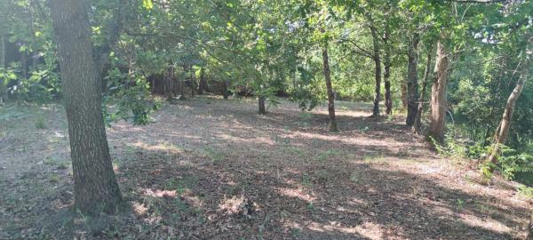 Terreno en Lamas da Fonte