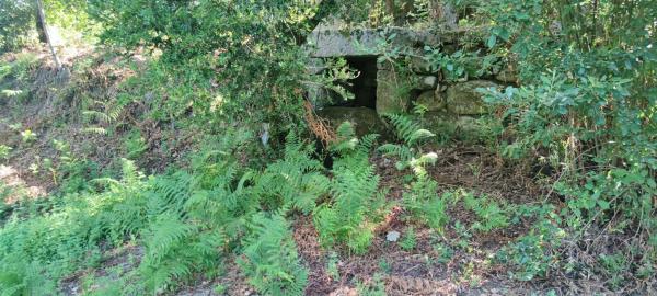 Terreno en Lamas da Fonte