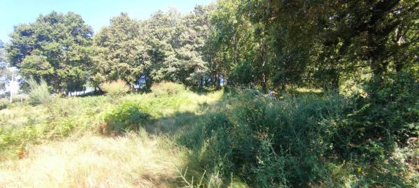 Terreno en Lamas da Fonte