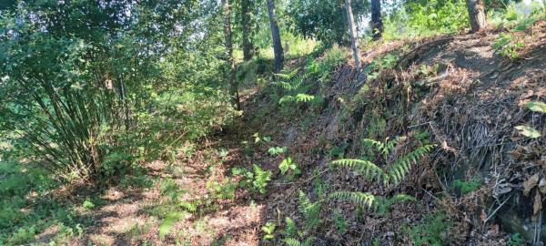 Terreno en Lamas da Fonte