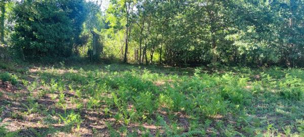 Terreno en Lamas da Fonte