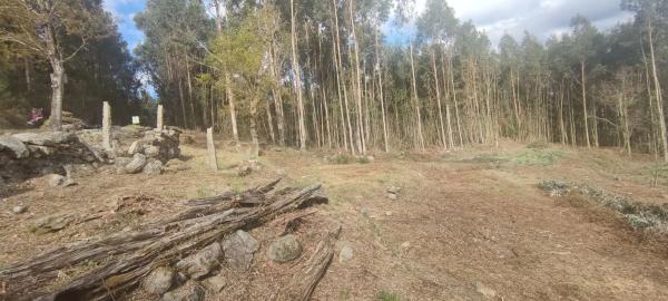 Terreno en Lugar Rocha - Avelenda, 1