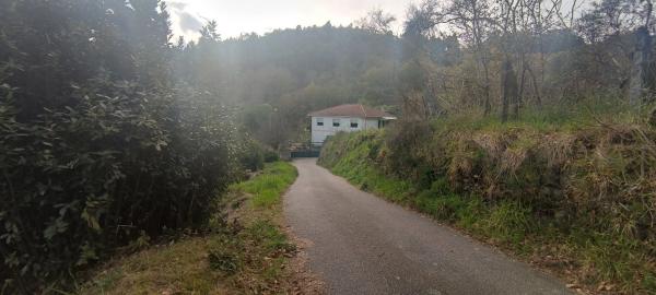 Terreno en Lugar Rocha - Avelenda, 1