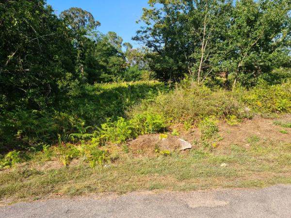 Terreno en Lugar Abelan, 3