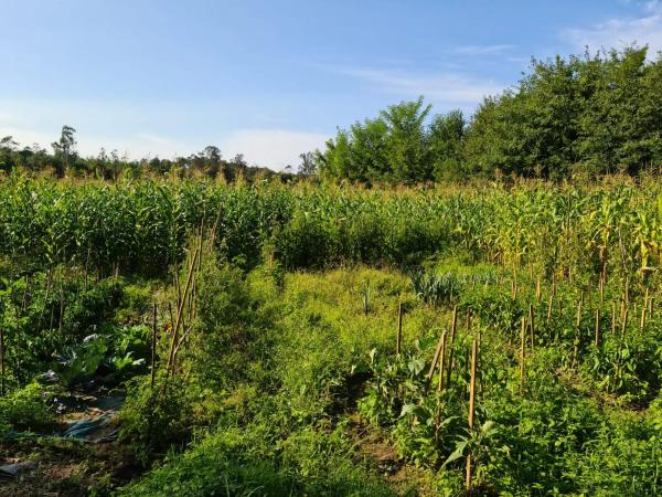 Terreno en Lugar Abelan, 3