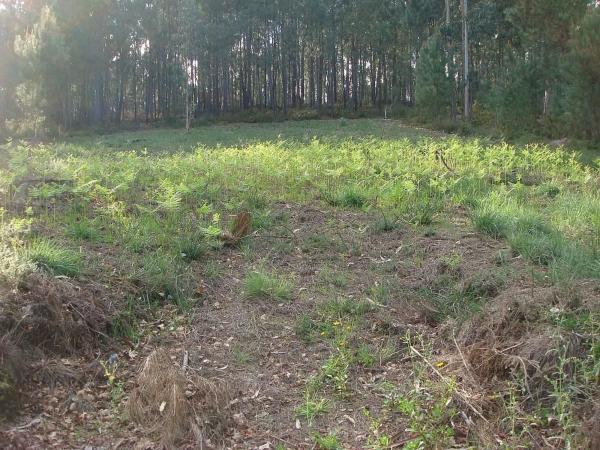 Terreno en Salvaterra de Miño