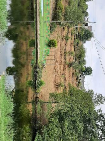 Terreno en s/n, km 2