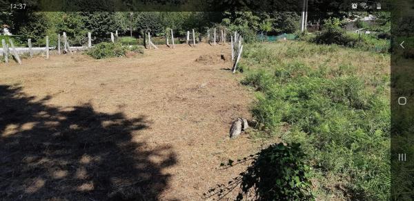 Terreno en Lugar de pazo s/n Sn