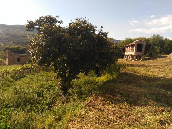 Terreno en calle quinta de barros s/n