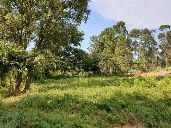 Terreno en Fontan s/n