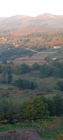 Terreno en calle quinta de barros s/n