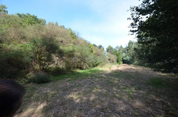 Terreno en Lugar Novas