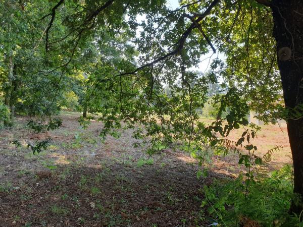 Terreno en Poñe s/n