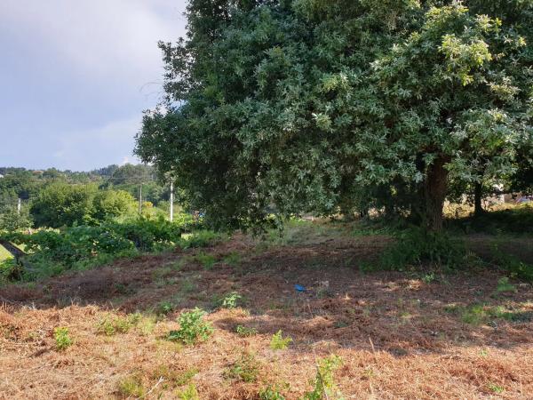 Terreno en Poñe s/n