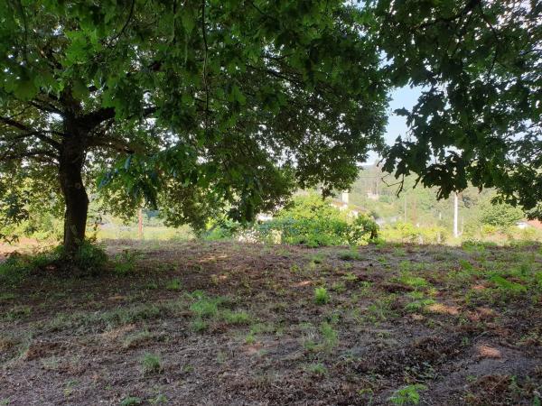 Terreno en Poñe s/n