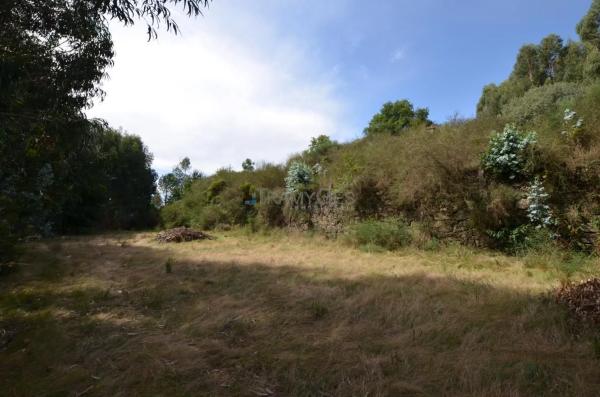 Terreno en Lugar Novas