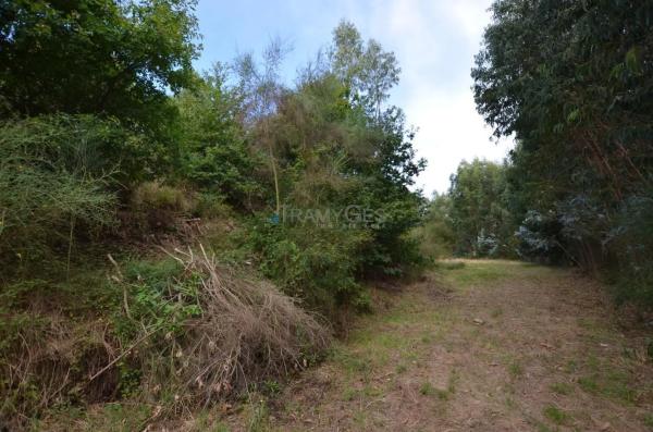 Terreno en Lugar Novas