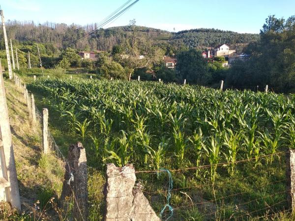 Terreno en Pías s/n