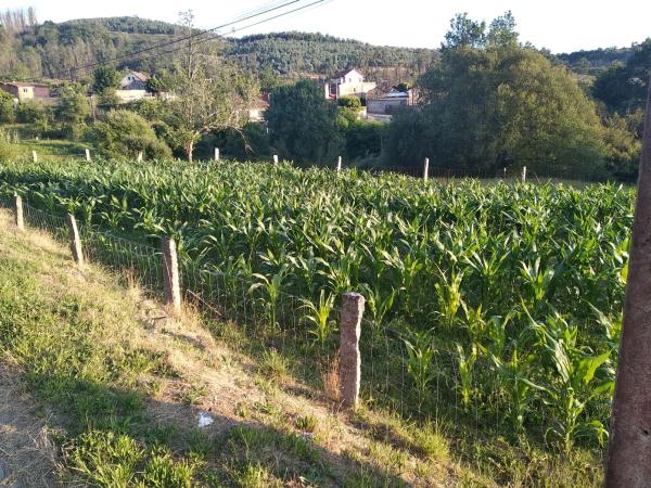 Terreno en Pías s/n