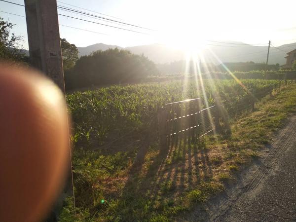 Terreno en Pías s/n