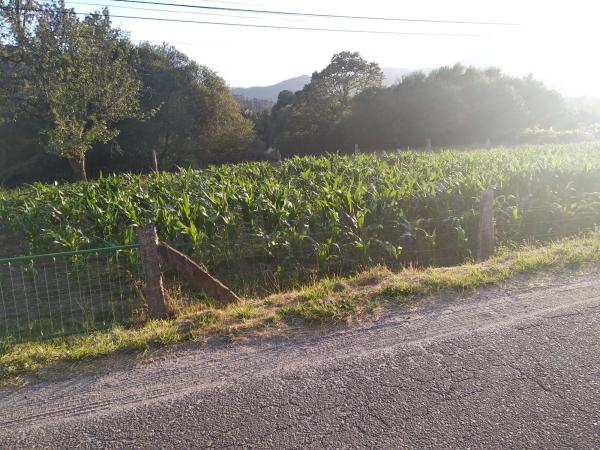 Terreno en Pías s/n